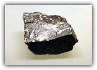 The ancestors of this piece of coal are what caused all the fuss