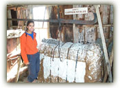 One bale of cotton = 1,217 shirts or 330 pairs of jeans
