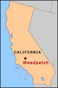 Weed Patch Map