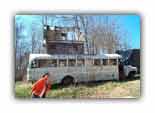 A bus from Stephen Gaskin's original caravan still hangs out at the Farm