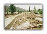 Mudslides are often results of clearcutting